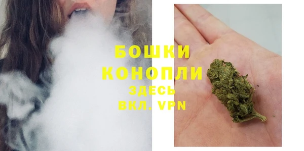 крисы Белокуриха