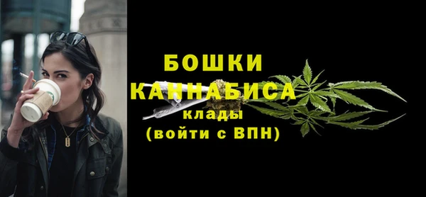 крисы Белокуриха