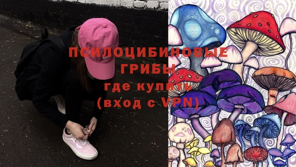 крисы Белокуриха